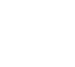 NOVIS CAPITAL